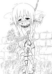 kaedesyokusyu.jpg